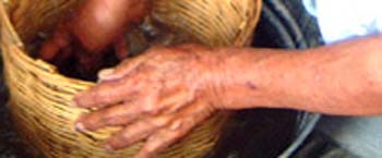 hands
